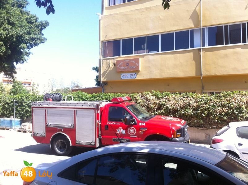 firese77anfsiya511 (2).JPG